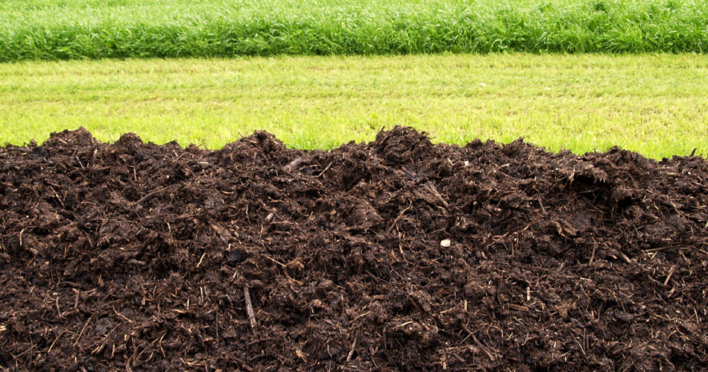 compost